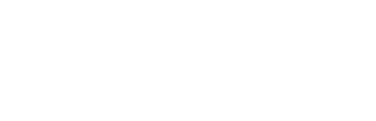 LenX logo white